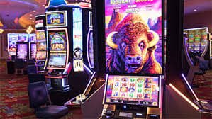 coral Roulette Rooms